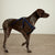 Pet Harness, Medium-Tartan Plaid-Image 1-Vera Bradley