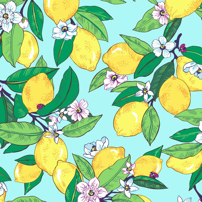 Lemon Grove-Image 1-Vera Bradley